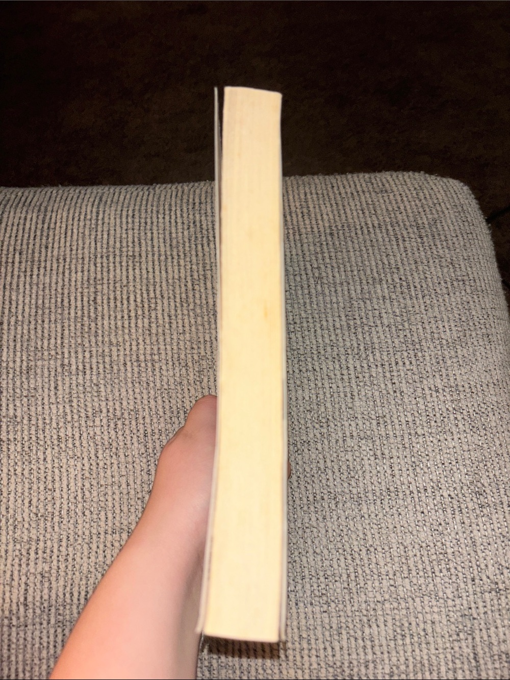 Sarah Dessen - Picture 3 of 3